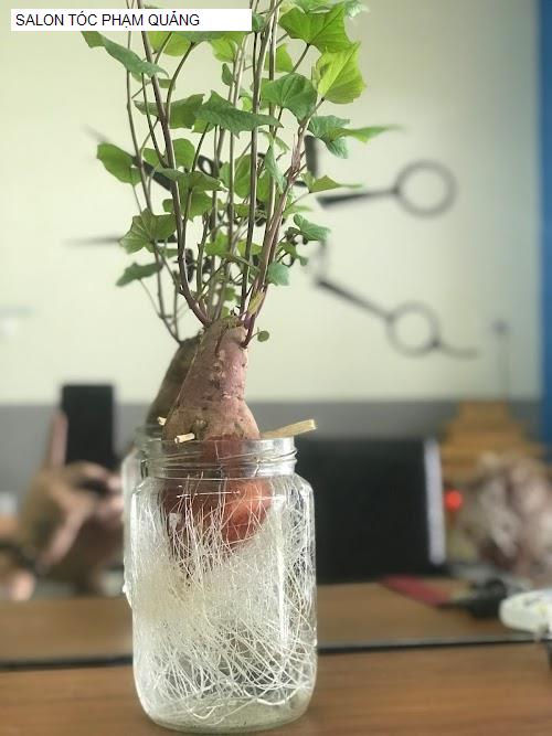 Hình ảnh SALON TÓC PHẠM QUẢNG